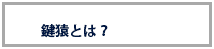 鍵猿とは？